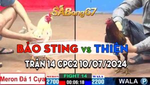 Trận 14 CPC2 10/07/2024 - Anh Bảo Sting Chấp Anh Thiên 1 Cựa Vẫn Ăn Dễ