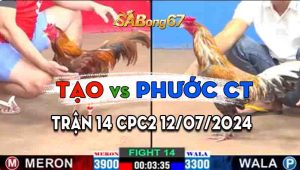 Trận 14 CPC2 12/07/2024 - Gà Anh Tạo Nạp Cựa Như Máy Khâu