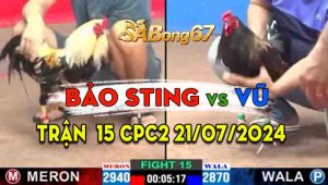 Trận 15 CPC2 21/07/2024 - Gà Chuối Bảo Sting Chiến Thắng Vất Vả