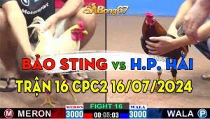 Trận 16 CPC2 17/07/2024 - Cuộc Hẹn Giữa Hoàng Phi Hải Và Bảo Sting