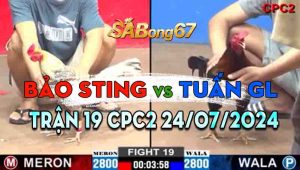 Trận 19 CPC2 24/07/2024 - Bảo Sting Hạ Nhanh Anh Tuấn Gà Lai