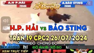 Trận 19 CPC2 26/07/2024 - Hoàng Phi Hải Tiếp Tục Thắng Trước Bảo Sting