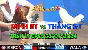 Trận 19 CPC3 22/07/2024 - Gà Anh Thắng Tung Đòn Đá Chí Mạng