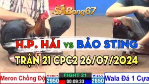 Trận 21 CPC2 26/07/2024 - Hoàng Phi Hải Chồng Độ, Bảo Sting Đá 1 Cựa