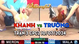 Trận 3 CPC2 10/07/2024 - Gà Bảo Sting Bỏ Chạy Trước Gà Anh Khanh