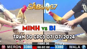 Trận 30 CPC3 07/07/2024 - Gà Xám Anh Minh Trên Màu Gà Khét, Ăn Gọn