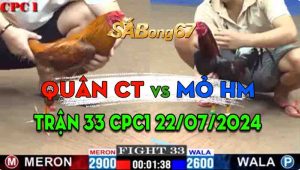 Trận 33 CPC3 22/07/2024 - Gà Anh Mỏ Nhỏ Hơn 3 Chấm Vẫn Lụm