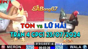 Trận 4 CPC1 23/07/2024 - Gà Anh Ton Hạ Gọn Gà Anh Lữ Hải