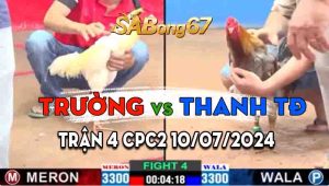 Trận 4 CPC2 10/07/2024 - Gà Bảo Sting Đá Cho Nhớ Nhà Luôn