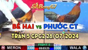 Trận 5 CPC2 28/07/2024 - Gà Phước Cần Thơ Nạp 3 Cước Lụm Lúa