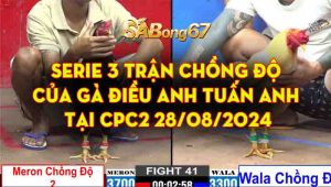 Serie 3 Trận Chồng Độ Của Gà Điều Anh Tuấn Anh Tại CPC2 28/08/2024