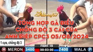 Tổng Hợp Gà Điều Anh Điệp Chồng Độ 3 Cái Tại CPC3 05/08/2024