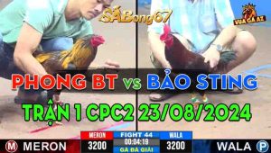 Trận 1 CPC2 23/08/2024 - Gà Bảo Sting Hạ Phong Bến Tre Chỉ 1 Nốt Nhạc