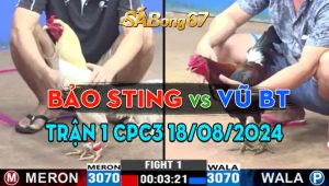 Trận 1 CPC3 18/08/2024 - Anh Bảo Sting Mở Bát Quá Mát Tay