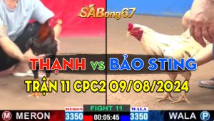 Trận 11 CPC2 09/08/2024 - Anh Bảo Sting Hôm Nay Gặp Vận Đen