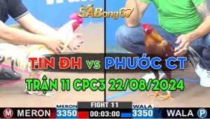 Trận 11 CPC3 22/08/2024 - Anh Tin Hạ Anh Phước Cần Thơ Không Kịp Sửa Gà