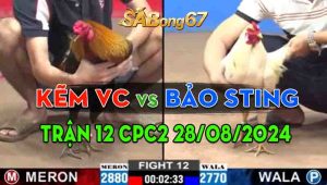 Trận 12 CPC2 28/08/2024 - Anh Bảo Sting Đối Đầu Anh Kẽm Vĩnh Châu