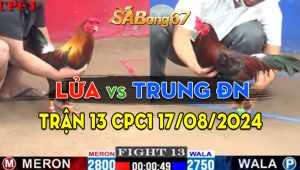 Trận 13 CPC1 17/08/2024 - Gà Anh Lửa Có Pha Lật Kèo Cứu Chủ