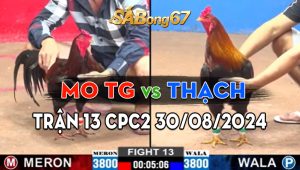 Trận 13 CPC2 30/08/2024 - Bảo Sting Thất Thủ Trước Mo Tiền Giang