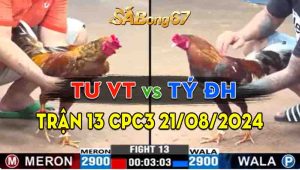 Trận 13 CPC3 21/08/2024 - Gà Anh Tư Vũng Tàu Gặp Anh Tỷ Đức Hòa