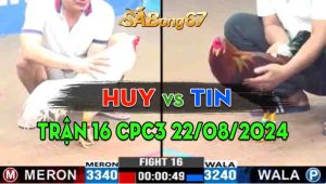 Trận 16 CPC3 22/08/2024 - Gà Anh Tin Đá 1 Cước Gãy Giò Gà Anh Huy