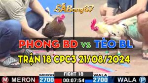 Trận 18 CPC3 21/08/2024 - Anh Phong Bình Dương Và Anh Tèo Bảo Lộc