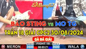 Trận 18 Giải CPC2 30/08/2024 - Bảo Sting Thất Thủ Trước Mo Tiền Giang