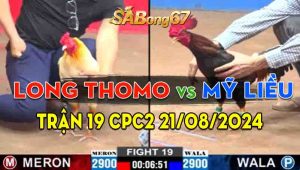 Trận 19 CPC2 21/08/2024 - Gà Mỹ Liều Hạ Gà Ăn 11 Cái Của Long Thomo