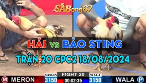 Trận 20 CPC2 18/08/2024 - Anh Bảo Sting Bào Từ Bồ C3 Về Tới C2