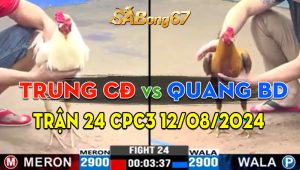 Trận 24 CPC3 12/08/2024 - Trung Cần Đước Đụng Độ Quang Bình Dương