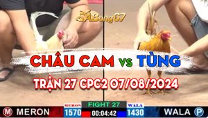 Trận 27 CPC2 07/08/2024 - Gà Anh Châu Cam Dí Bạc Ăn 5 Thắng Đẳng Cấp