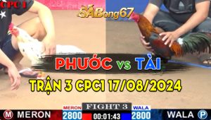 Trận 3 CPC1 17/08/2024 - Gà Anh Phước Bị Dí Bạc Ăn 1 Và Cái Kết