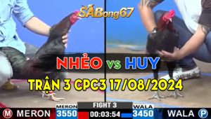 Trận 3 CPC3 17/08/2024 - Gà Anh Nhẻo Tải Cựa Tốt Hạ Anh Huy