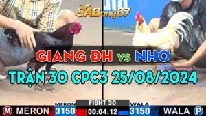 Trận 30 CPC3 25/08/2024 - Gà Anh Giang Đức Hòa Gồng Gánh Cứu Chủ