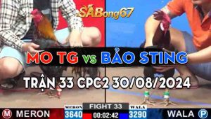 Trận 33 CPC2 30/08/2024 - Mo Tiền Giang Khắc Tinh Của Bảo Sting