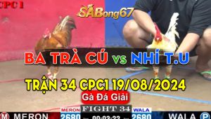 Trận 34 Giải CPC1 19/08/2024 - Anh Ba Trà Cú Hạ Anh Nhí Tân Uyên