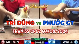 Trận 35 CPC2 07/08/2024 - Gà Phước Cần Thơ Nhìn Xấu Mà Đâm Cựa Nghiệt