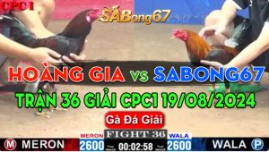 Trận 36 Giải CPC1 19/08/2024 - Sabong67 Hạ Anh Hoàng Gia Và Giành 6 Điểm