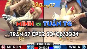 Trận 37 CPC2 30/08/2024 - Anh Minh Thắng Gọn Anh Tuấn Tiền Giang