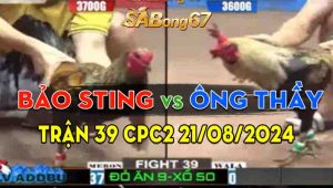 Trận 39 CPC2 21/08/2024 - Anh Bảo Sting Lụm Luôn Ông Thầy