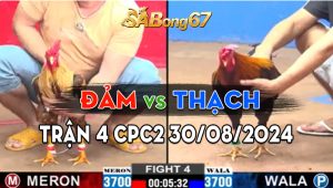 Trận 4 CPC2 30/08/2024 - Tài Nghệ Bảo Sting Cũng Bại Trước Đảm Sóc Trăng