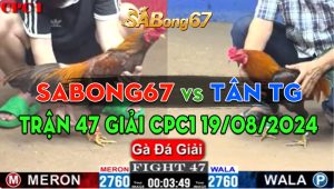 Trận 47 Giải CPC1 19/08/2024 - Sabong67 Hạ Tân Tiền Giang, Lấy 9 Điểm