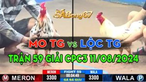 Trận 59 Giải CPC3 11/08/2024 - Mo Tiền Giang Gạt Giò Lộc TG Thành Công