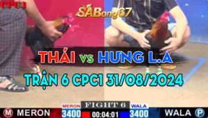 Trận 6 CPC1 31/08/2024 - Anh Thái Đối Đầu Anh Hưng Long An