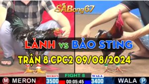 Trận 8 CPC2 09/08/2024 - Anh Lành Hạ Gọn Anh Bảo Sting