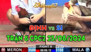 Trận 8 CPC2 23/08/2024 - Gà Anh Định Đá Gà Anh Si Không Kịp Thở