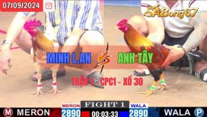 Trận 1 CPC1 07/09/2024 Anh Minh Long An Đá Xổ Anh Tây