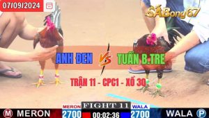 Trận 11 CPC1 07/09/2024 Anh Đen Đá Xổ Anh Tuấn Bến Tre