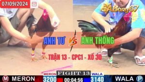 Trận 13 CPC1 07/09/2024 Anh Tư Đá Xổ Anh Thống