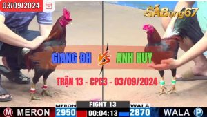 Trận 13 CPC3 03/09/2024 Anh Giang ĐH Đá Xổ Anh Huy